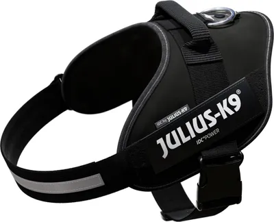 Produktbild von Julius-K9 IDC Powergeschirr schwarz, Größe: XL/2