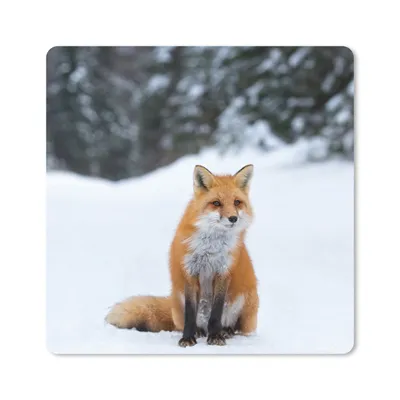 Produktbild von MuchoWow® Mauspad Mousepad Fuchs - Schnee - Wald 20x20 cm - Mousepads - Maus Mat - Pad - Mausunterlage - Desk Mat - Bureauartikeln
