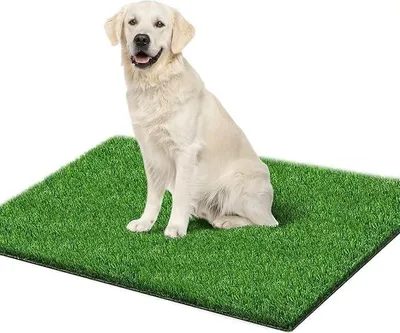 Imagen del producto de Alfombra de césped artificial para perros, 80 x 130 cm