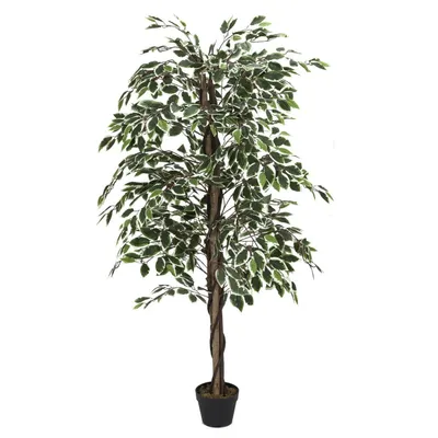 Obrázek produktu pro Umělá rostlina Benjamin 170 cm