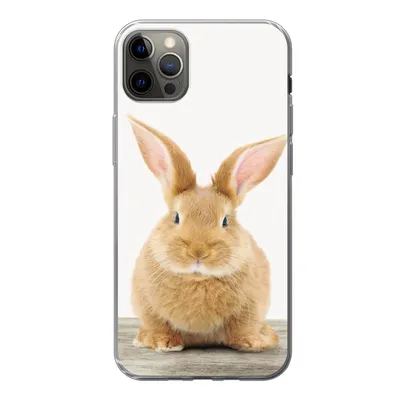 Produktbild von MuchoWow® Handyhülle Schutzhülle Hülle für iPhone 12 Pro Max Kaninchen - Babykaninchen - Tiere - Kinder - Mädchen - Jungen Silikon Softcase Handy Hülle - Hartschale