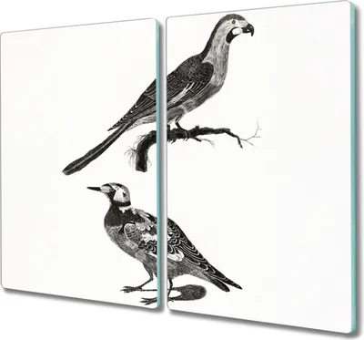 Produktbild von Coloray Schneidebrett Herdabdeckplatte 2x30x52 cm Kochplattenabdeckung Hackbrett Küchenbrett - Tiere Vögel