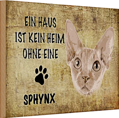 Produktbild von Holzschild Spruch 30x20cm Sphynx Katze ohne kein Heim
