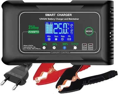 Immagine prodotto di Caricabatterie per auto 12V/24V, 25A, caricabatterie rapido intelligente per batterie LiFePO4, caricabatterie di mantenimento per batterie al litio e al piombo (AGM, Gel, EFB, MF, VRLA) per auto e moto