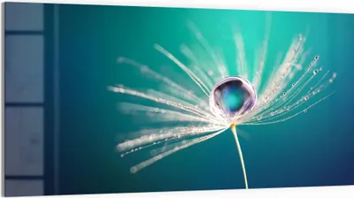 Produktbild von DEQORI Glasbild Echtglas 100x50 cm 'Inszenierte Wasserperle' Wandbild Bild modern Deko