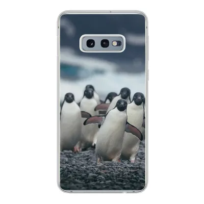 Produktbild von MuchoWow® Handyhülle Schutzhülle Hülle für Samsung Galaxy S10e Adeliepinguine am Strand Silikon Softcase Handy Hülle - Handy