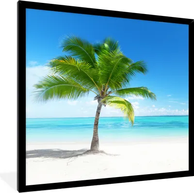Produktbild von MuchoWow® Gerahmtes Poster Palme - Strand - Meer - Sommer 40x40 cm - Poster mit Schwarzem Bilderrahmen Wandposter Rahmen Foto Bilder - Mit Rahmen - Wanddekoration Schlafzimmer