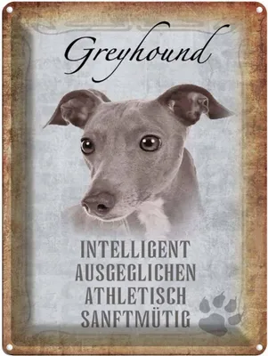 Produktbild von vianmo Blechschild 40x30 cm Greyhound Hund