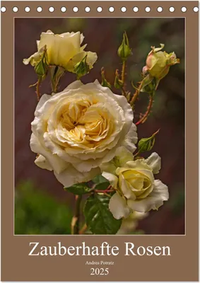 Produktbild von Zauberhafte Rosen (Tischkalender 2025 DIN A5 hoch), CALVENDO Monatskalender
