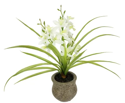 Kunstorchidee Phalaenopsis mit Keramiktopf, 39 cm, weiß