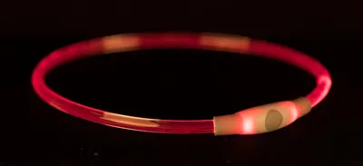 Produktbild von TRIXIE Flash Leuchtring USB - multicolor - 65 cm/ø 8 mm
