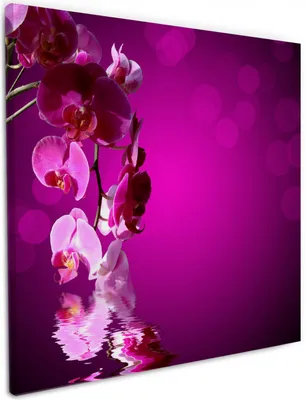 Produktbild von Wallario Premium Leinwandbild Rosafarbene Orchidee  Blüten in pink in Größe 50 x 50 cm