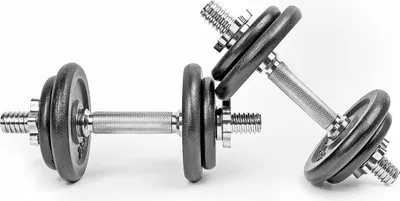 Image de Lot de 2 haltères en fonte de 10 kg avec mallette, idéal pour la musculation à la maison ou en salle de sport