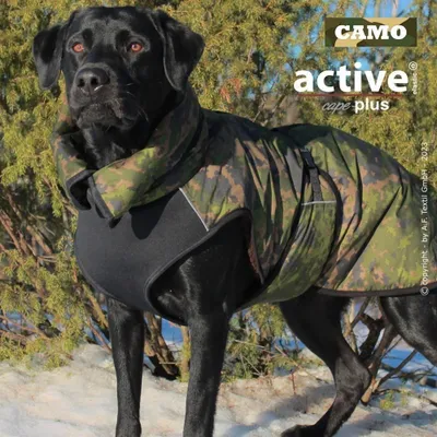 Produktbild von Active Cape ELASTIC Plus Camouflage XXL (77cm)
