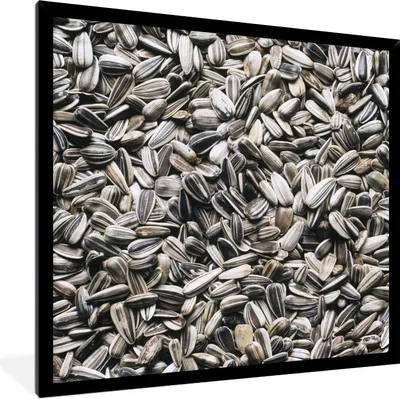 Produktbild von MuchoWow® Gerahmtes Poster Nahaufnahme von weißen Sonnenblumenkernen 40x40 cm - Poster mit Schwarzem Bilderrahmen Wandposter Rahmen Foto Bilder - Mit Rahmen - Wanddekoration Schlafzimmer