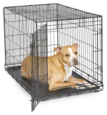 Imagen del producto de Caja de transporte metálica para perros, de una sola puerta, plegable, de 91 cm, con mayor seguridad