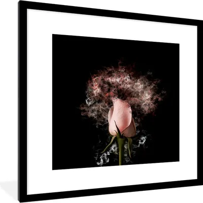 Produktbild von MuchoWow® MuchoWow® Gerahmtes Poster Rosen - Blumen - Rosa 40x40 cm - Poster mit zchwarzem Bilderrahmen - Poster - Plakat im Rahmen