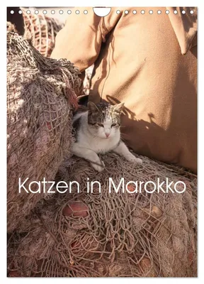 Produktbild von Katzen in Marokko (Wandkalender 2027 DIN A4 hoch), CALVENDO Monatskalender