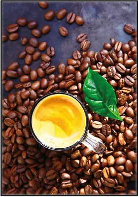 Produktbild von Wallario Wandbild Kaffee und Bohnen, Größe: 70,30 x 100,30 cm, Poster mit schwarzem Aluminiumrahmen