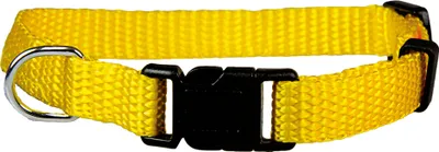 Produktbild von Schecker - Welpen Halsbänder - Halsumfang von 19 bis 32 cm - 10mm