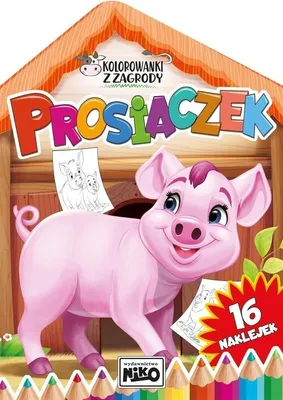 Zdjęcie produktu dla Kolorowanka dla dzieci Prosiaczek Artur Rajch 16 stron