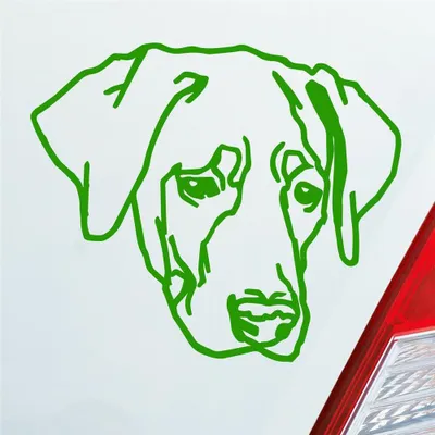 Produktbild von Auto Aufkleber Labrador Labi Labbi Hund Dog 12x10 cm Hellgrün Sticker Heckscheibenaufkleber
