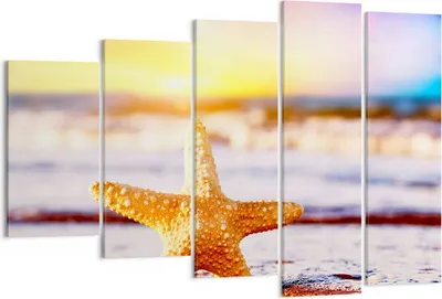 Produktbild von Bild auf Leinwand - Leinwandbild - Starfish Strand Sand Ozean - 150x100cm - Wand Bild - Wanddeko - Leinwanddruck - Bilder - Kunstdruck - Wanddekoration - Leinwand bilder - Wandkunst - EG150x100-2815