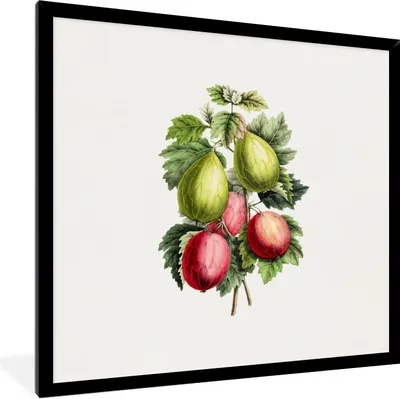 Produktbild von MuchoWow® Gerahmtes Poster Obst - Jahrgang - Feigen 40x40 cm - Poster mit Schwarzem Bilderrahmen Wandposter Rahmen Foto Bilder - Mit Rahmen - Wanddekoration Schlafzimmer