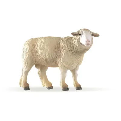 Zdjęcie produktu dla Papo 51041, 3 lat(a), Farmyard friends, Biały, PCW