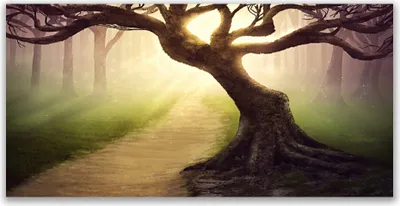 Produktbild von Küchenrückwand aus Glas 140x70cm Spritzschutz Baum Natur