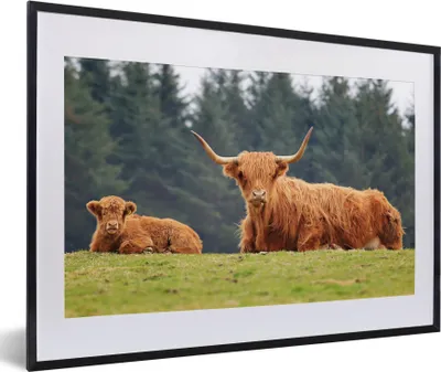 Produktbild von MuchoWow® MuchoWow® Gerahmtes Poster Schottische Hochlandrind - Gras - Wald 60x40 cm - Poster mit zchwarzem Bilderrahmen - Schlafzimmer - Plakat in Rahmen - Drucken