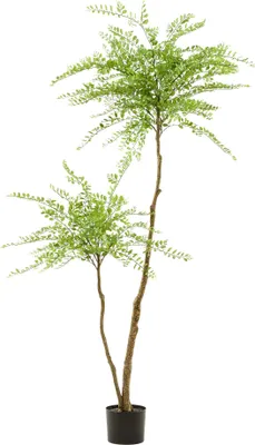 Obrázek produktu pro Umelá rostlina - strom Sophora - medovník - 190cm - dekorativní pokojová