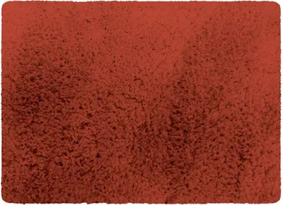 Produktbild von MSV Badteppich Badematte Badvorleger Duschvorleger Mikrofaser Hochflor flauschig 40x60 cm – Terracotta Rot
