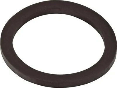 Obrázek produktu pro HANSGROHE 53971000 Těsnění DN32
