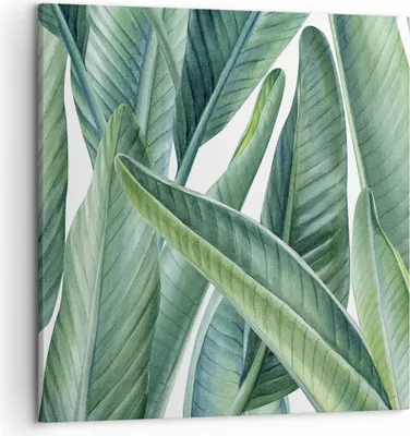 Produktbild von Bild auf Leinwand - Leinwandbild - Einteilig - Exotisch Blätter Grün - 50x50cm - Wand Bild - Wanddeko - Wandbilder - Leinwanddruck - Bilder - Wanddekoration - Leinwand bilder - Wandbild - AC50x50-4258