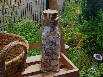 Produktbild von Dekomuscheln - Home Accents