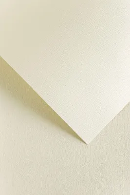 Obrázek produktu pro Galeria Papieru ozdobný papír Borneo ivory 220g, 20ks
