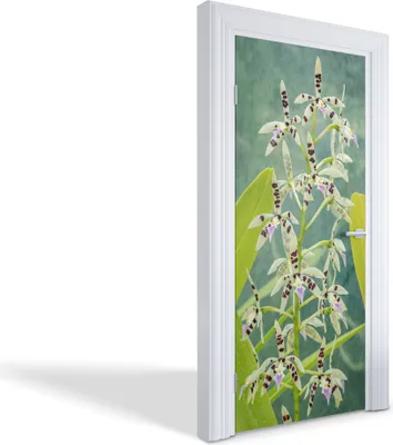 Produktbild von Türdeko Aufkleber Selbstklebende Wandsticker Personalisiert - Exotische Orchidee - 95 x 205 cm