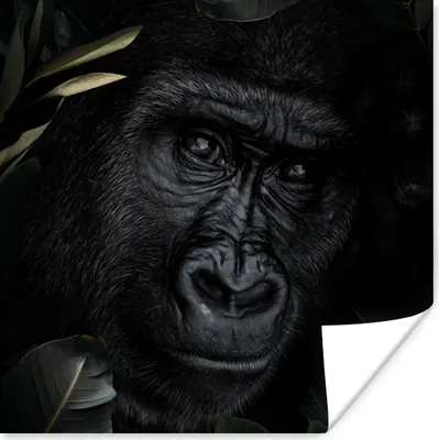 Produktbild von MuchoWow® Poster Affe - Tiere - Blätter - Botanisch 75x75 cm - Wand Dekoration