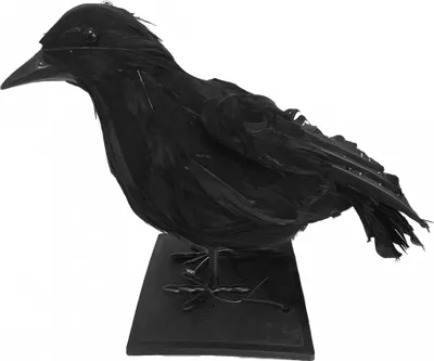 Produktbild von Schwarzer Rabe Deko 16cm