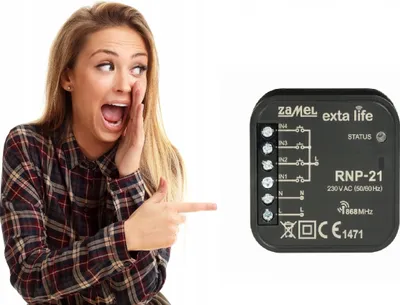 Image de Émetteur radio 4 canaux RNP-21 - Blanc - Contrôle sans fil - Installation facile