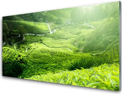 Produktbild von Acrylglasbilder 100x50 Wandbild Druck Wiese Natur