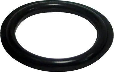 Immagine prodotto di Guarnizione sifone D65 9843003