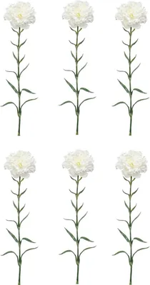 Produktbild von 6er Set künstliche Nelken Dianthus spray H. 67cm weiß Emerald Kunstblumen