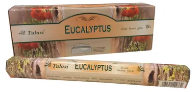 Wierookstäbchen Eucalyptus, 120 Stück, Desinfektionsmittel