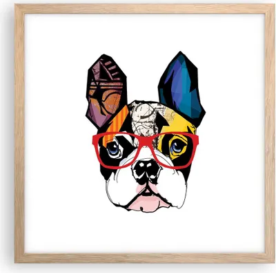 Produktbild von Gerahmtes Poster - Rahmen in heller Eiche - Hund Brille Bunt Bulldogge - 40x40 cm - Wand Bild - Wanddeko - Wandbilder - Wandposter - Bilderrahmen - Bilder - Kunstdruck - Wandbild - P2NAC40x40-3206