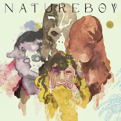 Image de Natureboy Flako : Natureboy (édition du 10e anniversaire)