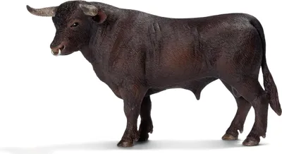 Image de Taureau noir