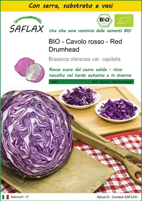 Immagine prodotto di SAFLAX Insieme di coltivazione -- Cavolo rosso - Red Drumhead - 250 semi - Brassica