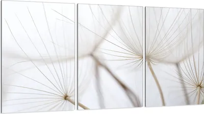 Produktbild von Herdabdeckplatten 3 teilig 30x52 Glaskeramikkochfeld Abdeckung Glas, Löwenzahn Beige